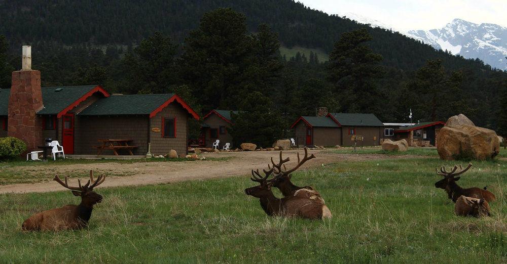 Tiny Town Cabins Estes Park Dış mekan fotoğraf