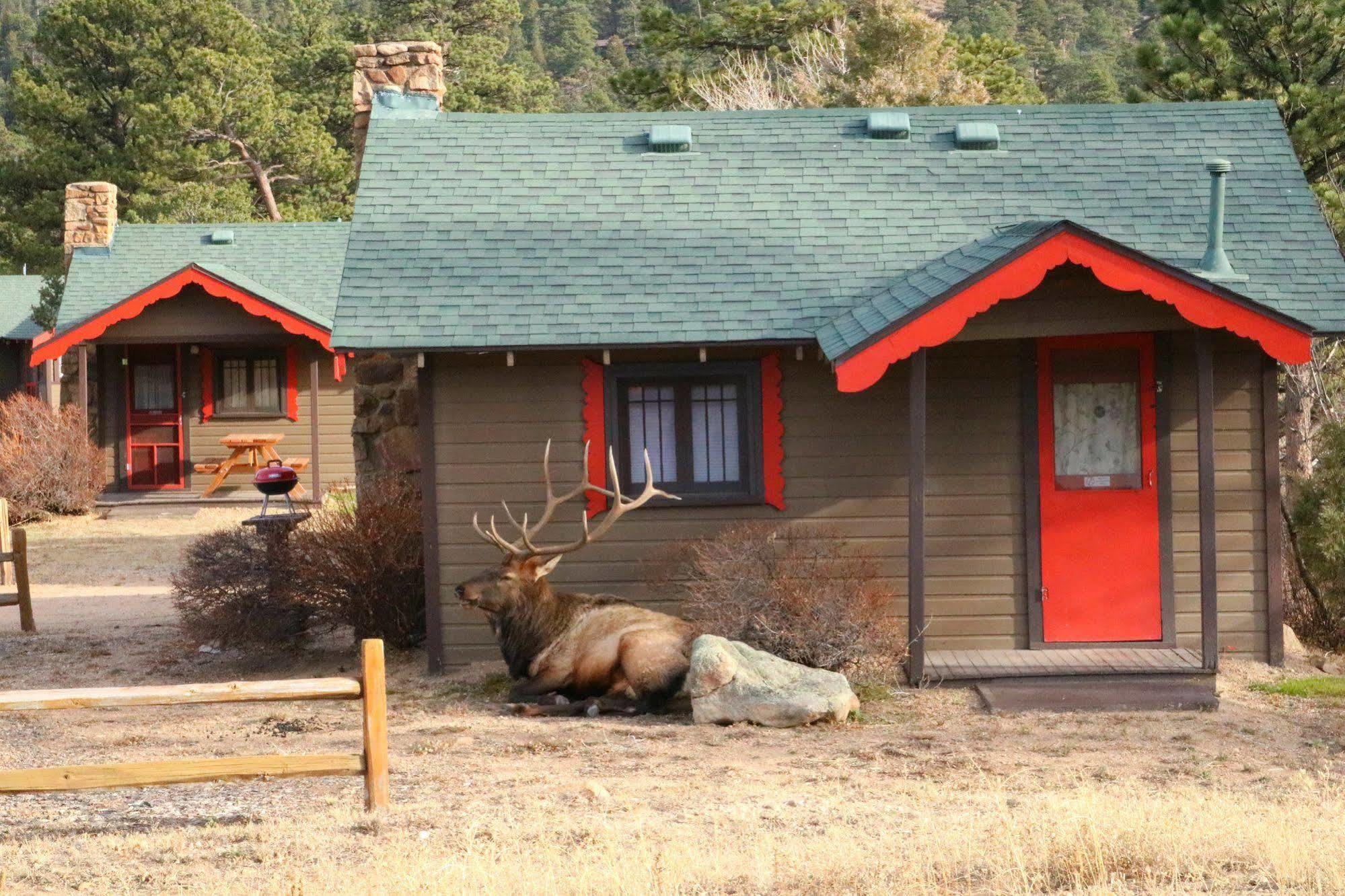 Tiny Town Cabins Estes Park Dış mekan fotoğraf